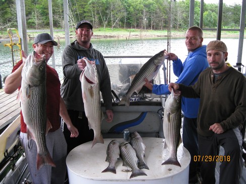 Nice Striped Bass